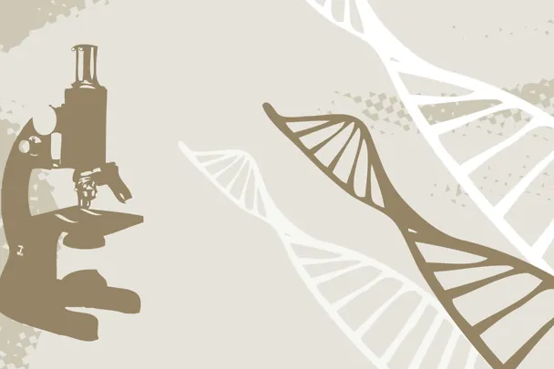 H. Wilhelm Schaumann Stiftung