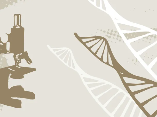 H. Wilhelm Schaumann Stiftung H. Wilhelm Schaumann Stiftung