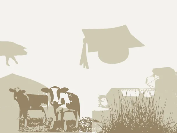 H. Wilhelm Schaumann Stiftung H. Wilhelm Schaumann Stiftung